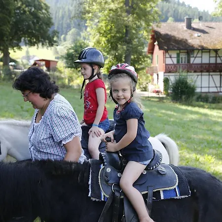 Отель Familotel Mein Krug