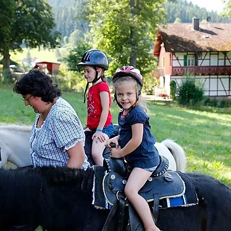 Familotel Mein Krug Hotel 3*